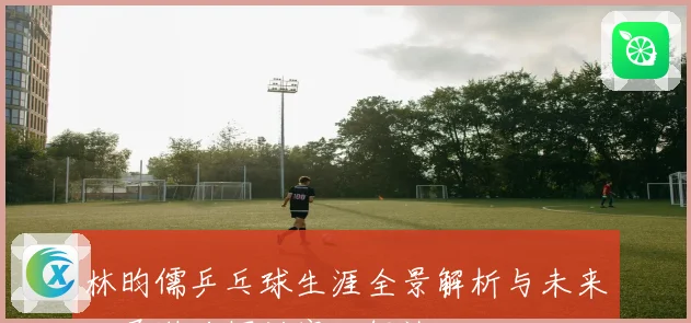 林昀儒乒乓球生涯全景解析与未来发展潜力探讨赛场解读