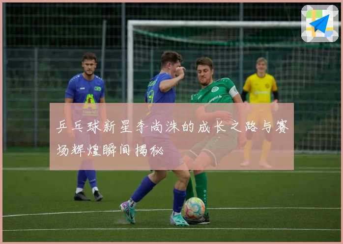 乒乓球新星李尚洙的成长之路与赛场辉煌瞬间揭秘