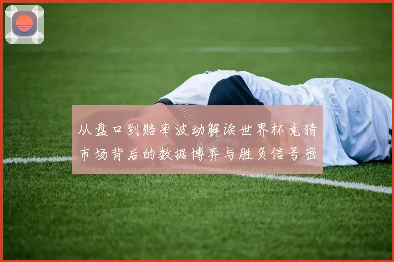 从盘口到赔率波动解读世界杯竞猜市场背后的数据博弈与胜负信号密数据研判
