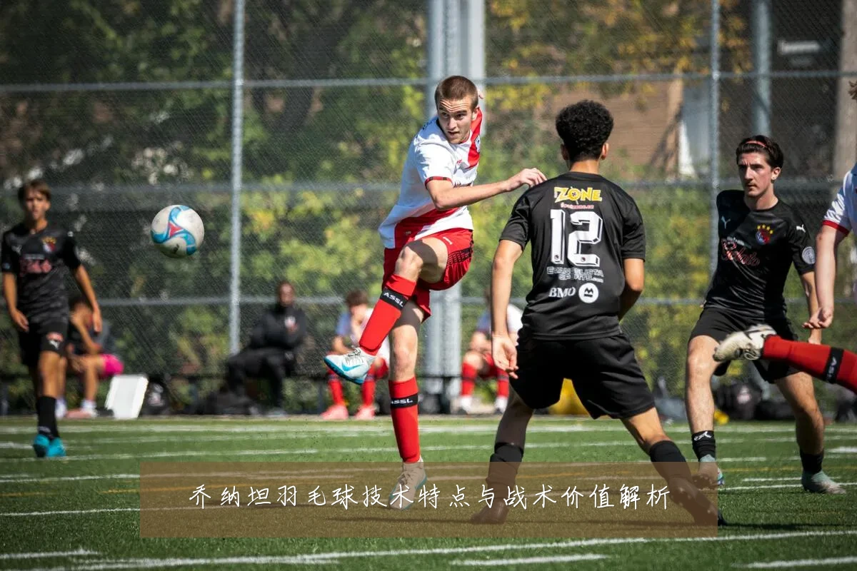 乔纳坦羽毛球技术特点与战术价值解析