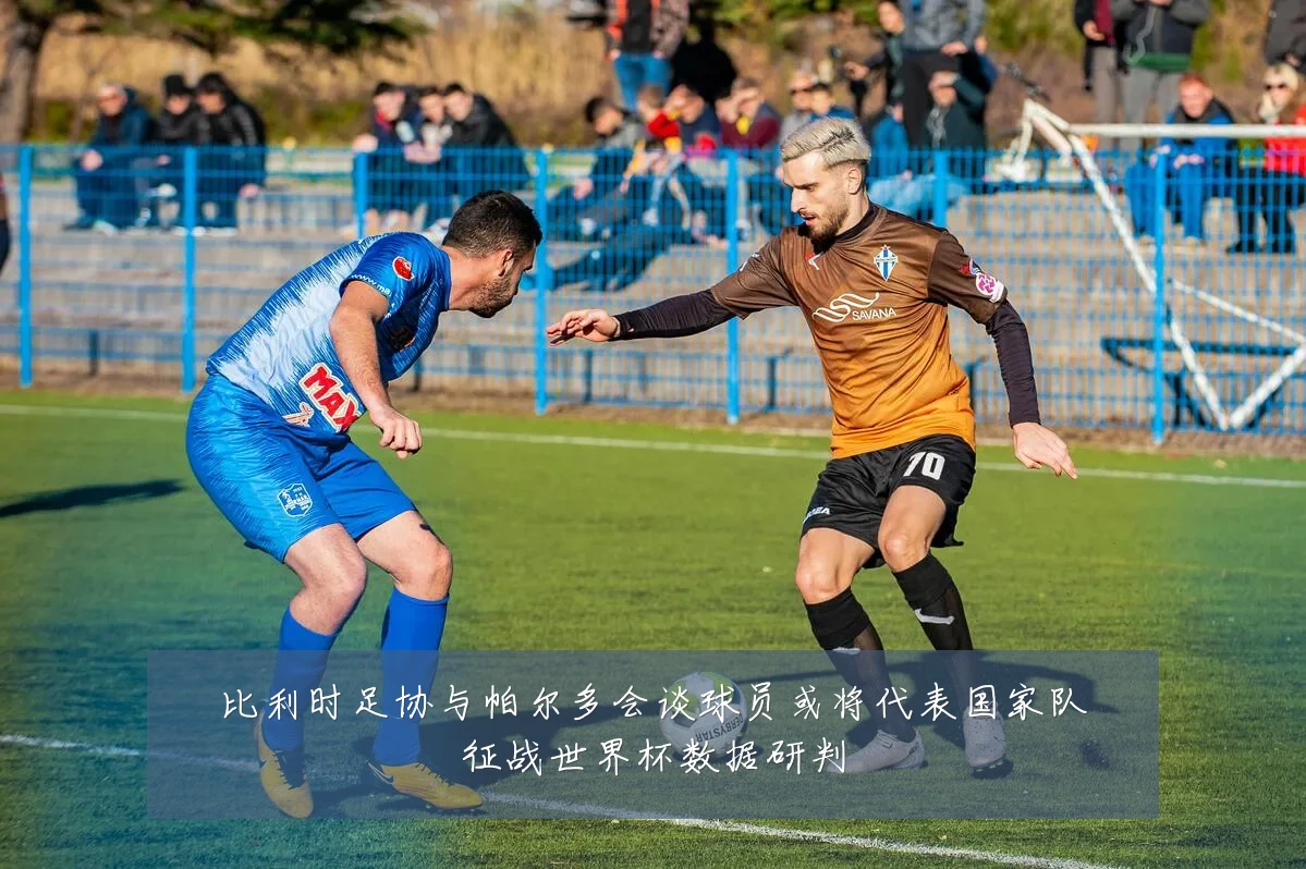 比利时足协与帕尔多会谈球员或将代表国家队征战世界杯数据研判