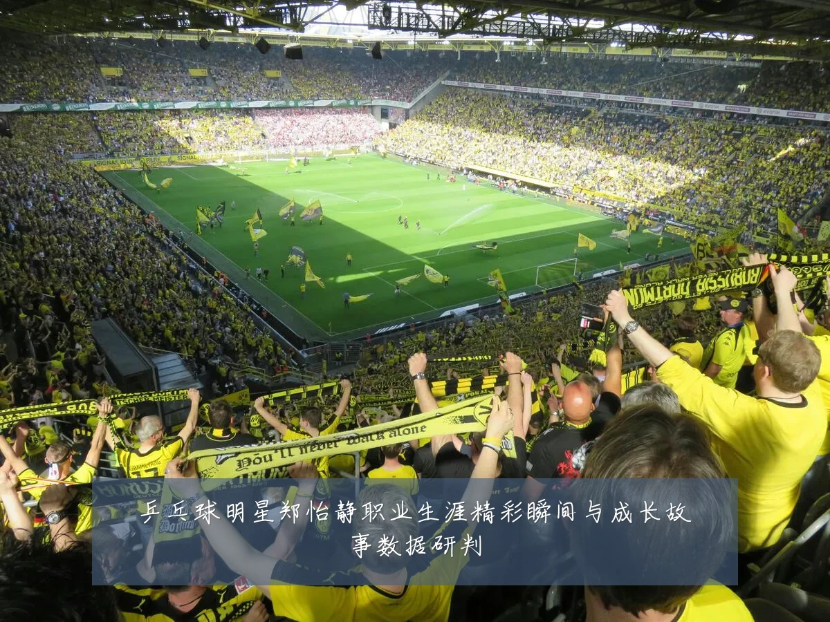 乒乓球明星郑怡静职业生涯精彩瞬间与成长故事数据研判